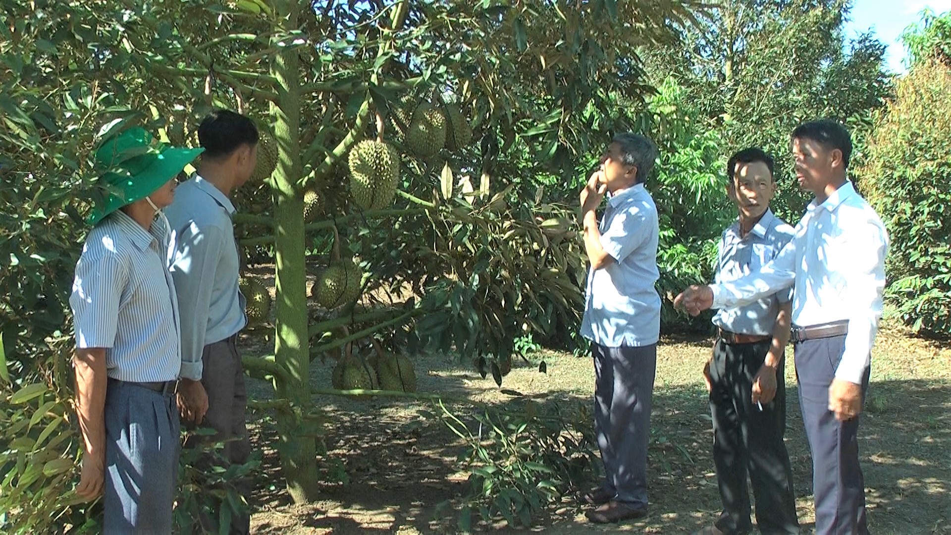 HANHBUI DRT5053.00_54_45_09.Still126